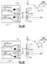 Fig. 09 - Systems and methods for integration of injection-locked oscillators into transceiver arrays
