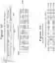 Fig. 07 - Decompression engine for executable microcontroller code