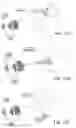 Fig. 16 - Detection and ranging using multi-radio mobile devices