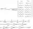 Fig. 121 - Method and apparatus to CSI reporting using multiple antenna panels in advanced wireless communication systems