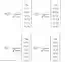 Fig. 209 - Method and apparatus to CSI reporting using multiple antenna panels in advanced wireless communication systems
