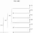 Fig. 07 - Apparatus and method for diversity transmission in a wireless communications system