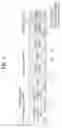 Fig. 02 - METHOD FOR TRANSMITTING OR RECEIVING SIGNAL IN WIRELESS COMMUNICATION SYSTEM AND APPARATUS THEREFOR