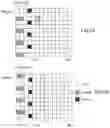 Fig. 04 - Method and communication apparatus for mapping reference signal in wireless communication system