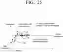 Fig. 31 - Transmitting apparatus and mapping method thereof