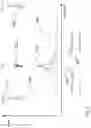 Fig. 03 - Mobility robustness in a cellular network