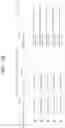 Fig. 24 - Validation of a virtual port channel (VPC) endpoint in the network fabric