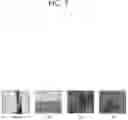 Fig. 08 - Image information encoding and decoding method