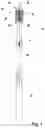 Fig. 02 - Head for an oral-care implement and a kit comprising such head