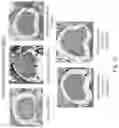 Fig. 08 - Method for treating or alleviating autoimmune-related diseases