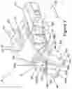 Fig. 03 - Front jaw
