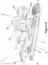 Fig. 07 - Front jaw