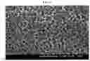 Fig. 03 - COMPOSITION FOR FORMING ELECTRODE FOR SOLAR CELL INCLUDING NANOTEXTURED SUBSTRATE, ELECTRODE PREPARED USING THE SAME AND SOLAR CELL INCLUDING  ELECTRODE PREPARED USING THE SAME