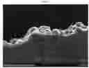 Fig. 05 - COMPOSITION FOR FORMING ELECTRODE FOR SOLAR CELL INCLUDING NANOTEXTURED SUBSTRATE, ELECTRODE PREPARED USING THE SAME AND SOLAR CELL INCLUDING  ELECTRODE PREPARED USING THE SAME
