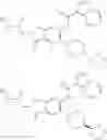 Fig. 586 - Pyrazolo[ 1,5a]pyrimidine derivatives as IRAK4 modulators