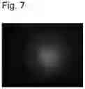 Fig. 05 - Method for introducing substance into plant