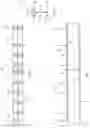 Fig. 06 - Composite structural member for a building structure