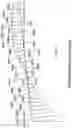 Fig. 12 - Composite structural member for a building structure
