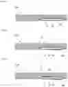 Fig. 06 - SHEET-SHAPED HEAT PIPE