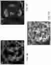 Fig. 08 - Optical imaging of mineral species using hyperspectral modulation transfer techniques