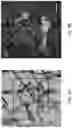 Fig. 17 - Optical imaging of mineral species using hyperspectral modulation transfer techniques