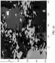 Fig. 21 - Optical imaging of mineral species using hyperspectral modulation transfer techniques