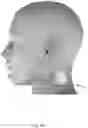 Fig. 18 - Throat microphone system and method