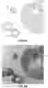 Fig. 07 - Methods of making sugar cone spheres