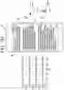 Fig. 09 - Portable apparatus and method of changing screen of content thereof