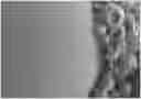 Fig. 01 - CONDITIONER COMPOSITIONS WITH INCREASED DEPOSITION OF POLYACRYLATE MICROCAPSULES