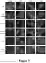 Fig. 06 - Multiresistant-tumour sensitiser