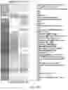 Fig. 05 - THERAPY FOR KINASE-DEPENDENT MALIGNANCIES