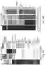 Fig. 13 - THERAPY FOR KINASE-DEPENDENT MALIGNANCIES