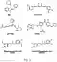 Fig. 20 - THERAPY FOR KINASE-DEPENDENT MALIGNANCIES