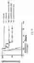 Fig. 22 - THERAPY FOR KINASE-DEPENDENT MALIGNANCIES