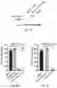Fig. 25 - THERAPY FOR KINASE-DEPENDENT MALIGNANCIES