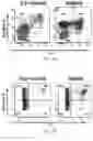 Fig. 31 - THERAPY FOR KINASE-DEPENDENT MALIGNANCIES