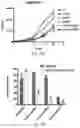 Fig. 35 - THERAPY FOR KINASE-DEPENDENT MALIGNANCIES