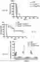 Fig. 43 - THERAPY FOR KINASE-DEPENDENT MALIGNANCIES