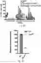 Fig. 44 - THERAPY FOR KINASE-DEPENDENT MALIGNANCIES