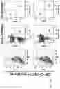 Fig. 55 - THERAPY FOR KINASE-DEPENDENT MALIGNANCIES