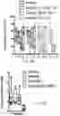 Fig. 56 - THERAPY FOR KINASE-DEPENDENT MALIGNANCIES