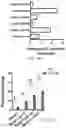 Fig. 69 - THERAPY FOR KINASE-DEPENDENT MALIGNANCIES