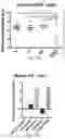 Fig. 82 - THERAPY FOR KINASE-DEPENDENT MALIGNANCIES