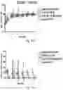 Fig. 84 - THERAPY FOR KINASE-DEPENDENT MALIGNANCIES