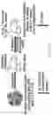 Fig. 87 - THERAPY FOR KINASE-DEPENDENT MALIGNANCIES