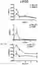 Fig. 96 - THERAPY FOR KINASE-DEPENDENT MALIGNANCIES