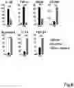 Fig. 09 - Composition having tissue-repairing activity, and use therefor