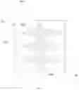 Fig. 07 - Method and system for generating non-thermal plasma