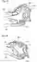 Fig. 16 - Supporting structure for shock absorber of suspension device and suspension structure of utility vehicle